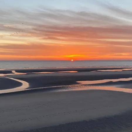 De La Falaise A Camping *